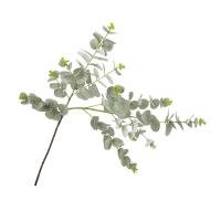 Ilga eukalipto šaka 92cm (baltai žalia)
