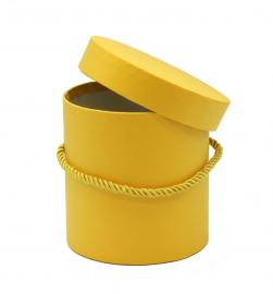 Cilindrinė dėžutė su rankenėle (geltona)