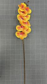 Orchidėjos šaka su 9 žiedais, ilgis 100cm (geltona-rožinė)