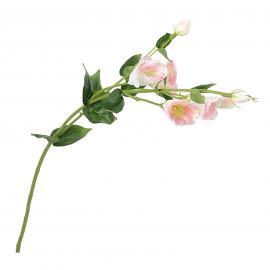 Dirbtinė Eustomos šaka, ilgis 80cm (Šviesiai rožinė, balta)