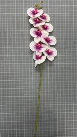 Orchidėjos šaka 99cm (t. rožinė-balta)