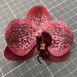 Orchidėjos žiedai lateksiniai (24 vnt. x 0.45€)(8 x 9 cm)(rožiniai)