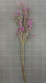 Dirbtinė gėlės šaka, ilgis 60 cm (šv. violetinė)