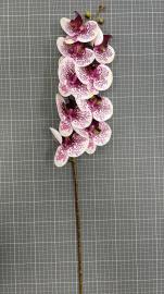 Orchidėjos šaka su 9 žiedais, ilgis 100cm (balta-rožinė)