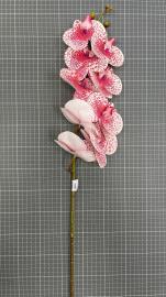 Orchidėjos šaka su 9 žiedais, ilgis 100cm (balta-rožinė)