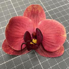 Orchidėjos žiedai lateksiniai (24 vnt. x 0.45€)(8 x 9 cm)(raudoni)