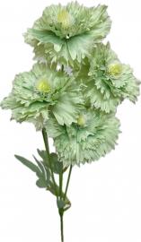 Šaka „Flora Harmony“ žalia, 60 cm
