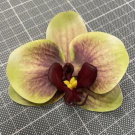 Orchidėjos žiedai lateksiniai (24 vnt. x 0.45€)(8 x 9 cm)(žali)